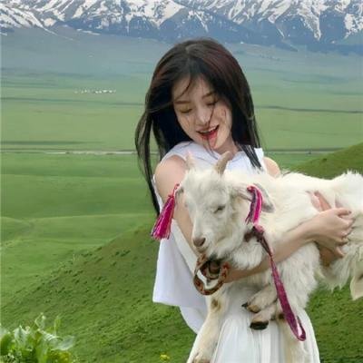 结婚白皮书 海报