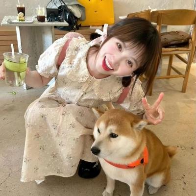 权少的贴身翻译官 海报